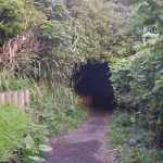 enoshima_chemin