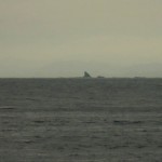 enoshima_requin