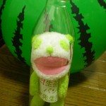 panda_seinsei
