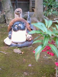 arashiyama_matsukaze_tanuki