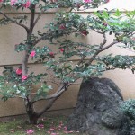 arashiyama_repas_decor