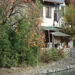 arashiyama_riviere_kaki