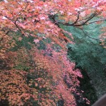 tofuku-ji_feuilles_et_riviere01