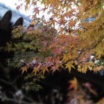 tofuku-ji_feuilles_et_temple04