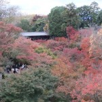 tofuku-ji_pont03