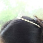 evjfcat_08_cat_diademe