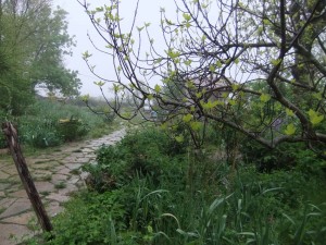 evjfcat_08_endroit_jardin1
