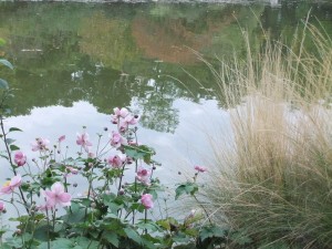 parc_montsouris_bord_de_letang