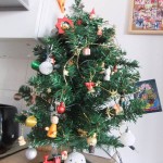 sapin01