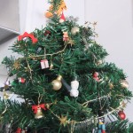 sapin02