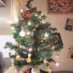 sapin03