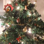 sapin04