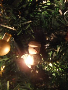 sapin05