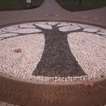 hyde_park_tree