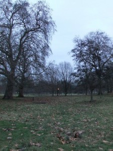kensington_park_nuit02