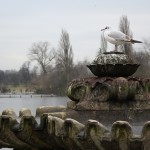 kensington_park_oiseau03