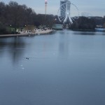 serpentine