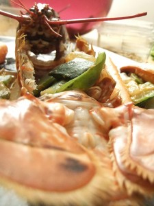homard02