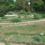 jardin_botanique01