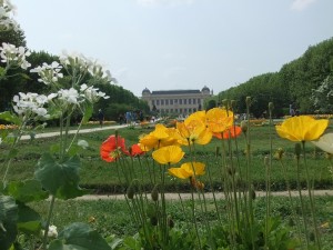 jardin_des_plantes_batiment01