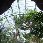 jardin_des_plantes_serre_grotte02