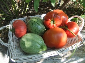 legume_jardin01